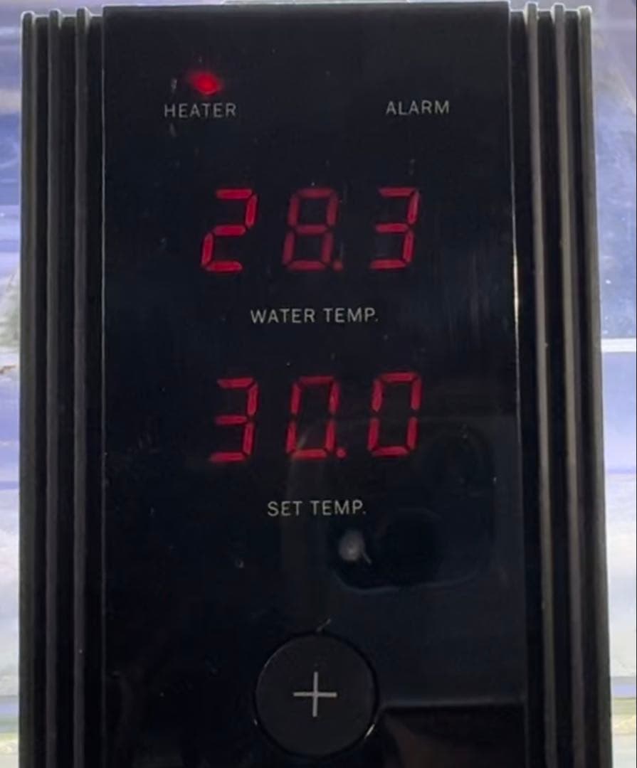 ニッソー　シーパレックスV-1000とプロテクトヒーターR-500W2本のセット