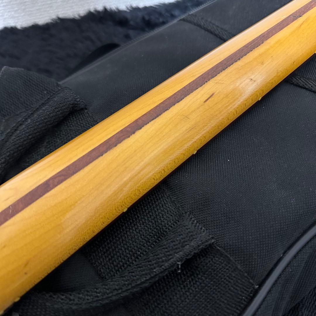 History SZ-1 ペイズリー 限定カラー エレキギター ギグバッグ付属