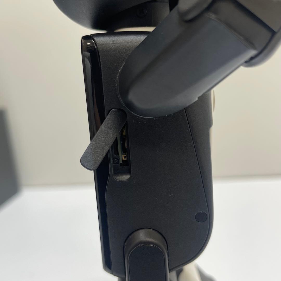 SHARP RoBoHoN ロボホン SR-DH03 本体 動作確認済み