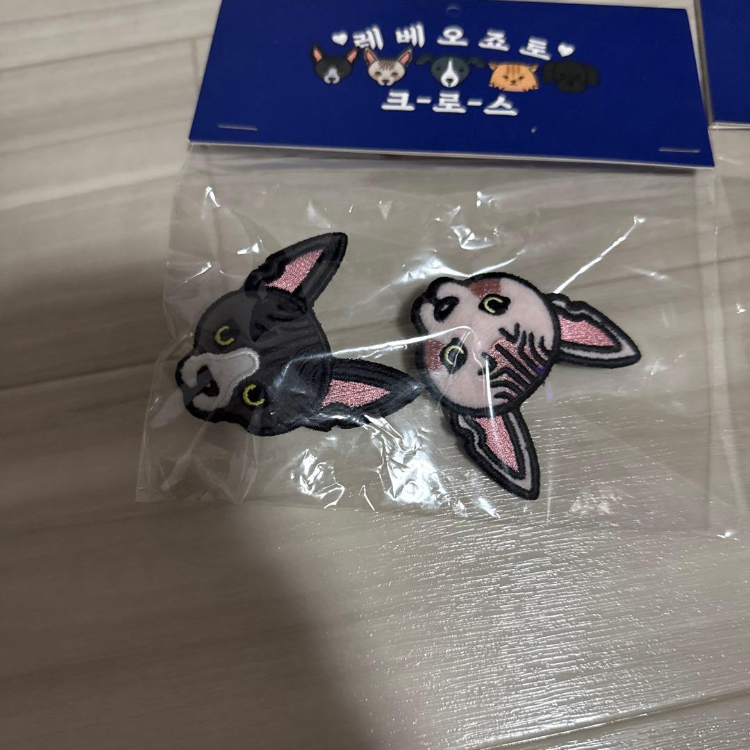 WINNER 韓国 公式 グッズ バックチャーム ブローチ カチューシャ セット