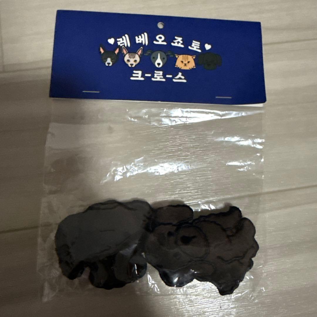 WINNER 韓国 公式 グッズ バックチャーム ブローチ カチューシャ セット