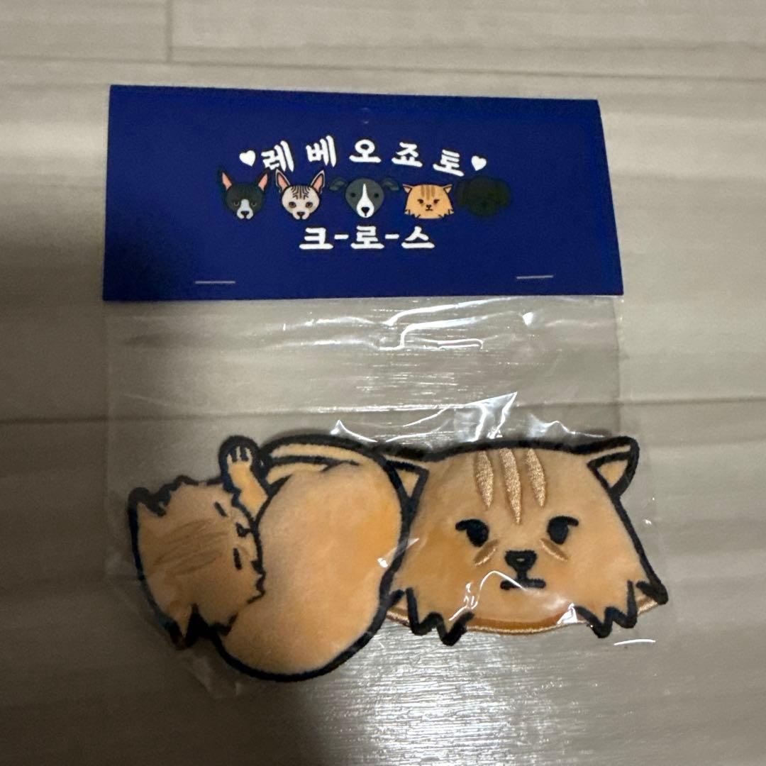 WINNER 韓国 公式 グッズ バックチャーム ブローチ カチューシャ セット