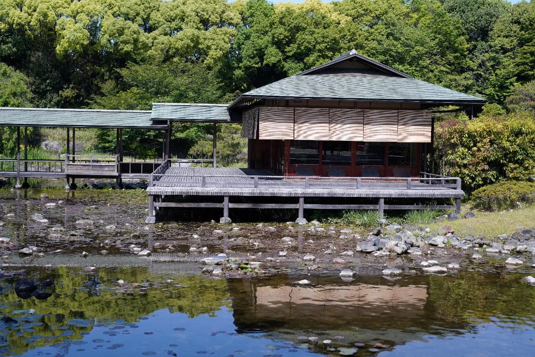 ニコン　ニッコールN.C　Auto24ｍｍｆ2.8