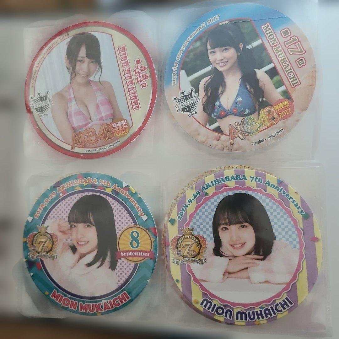 向井地美音 コースター