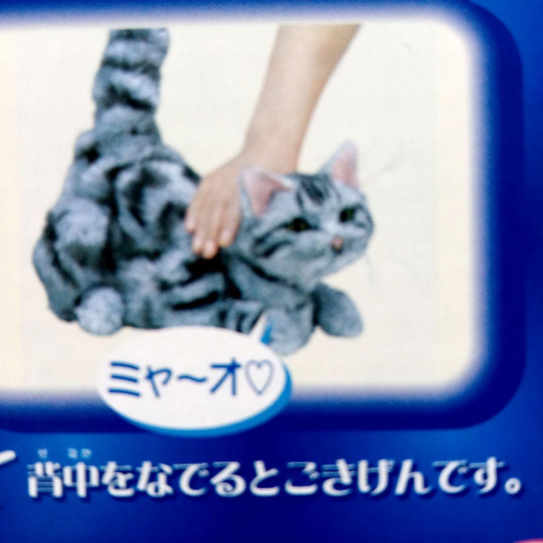 夢ねこ♡アメリカンショートヘア♡あなたのパートナー！　【新品未開封】