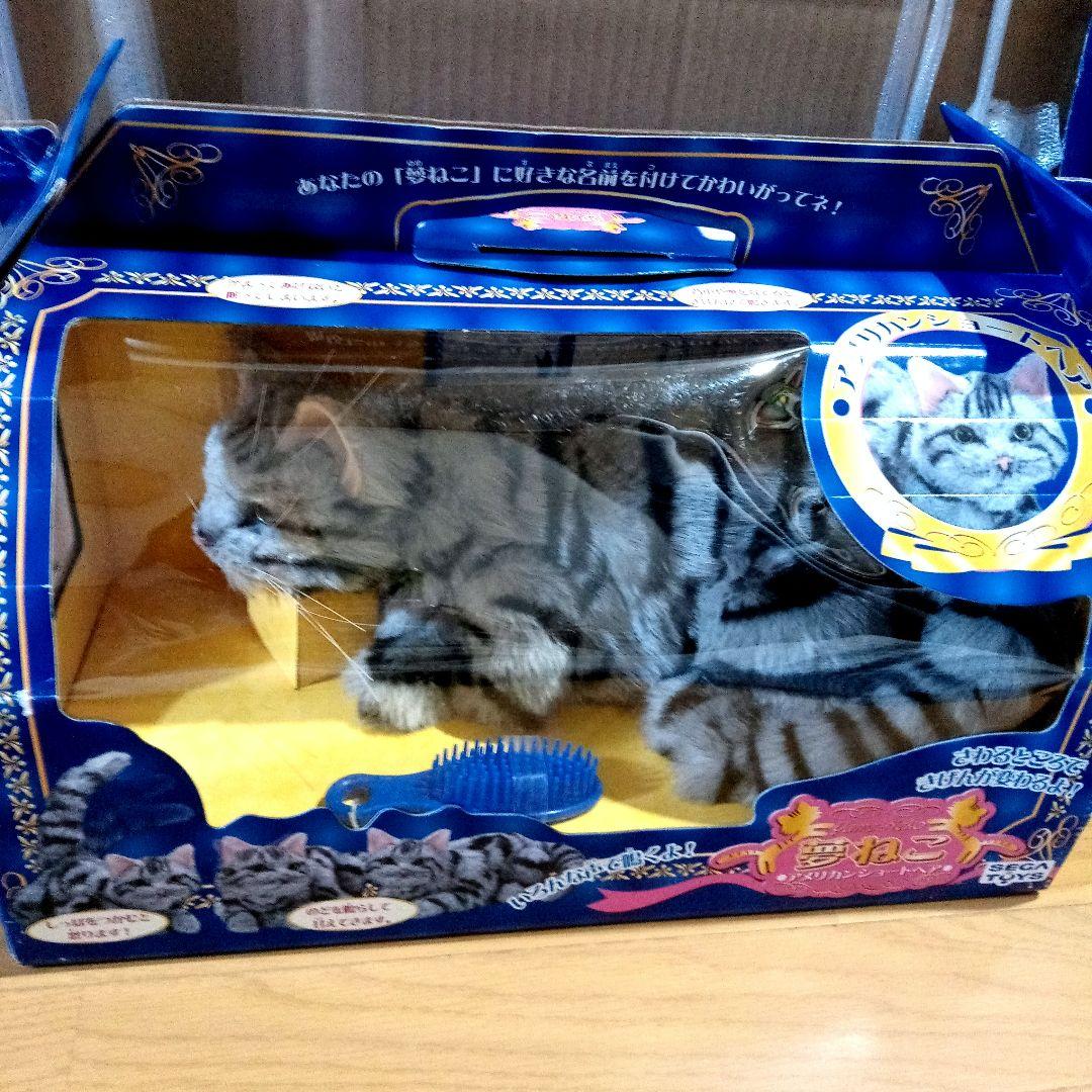 夢ねこ♡アメリカンショートヘア♡あなたのパートナー！　【新品未開封】