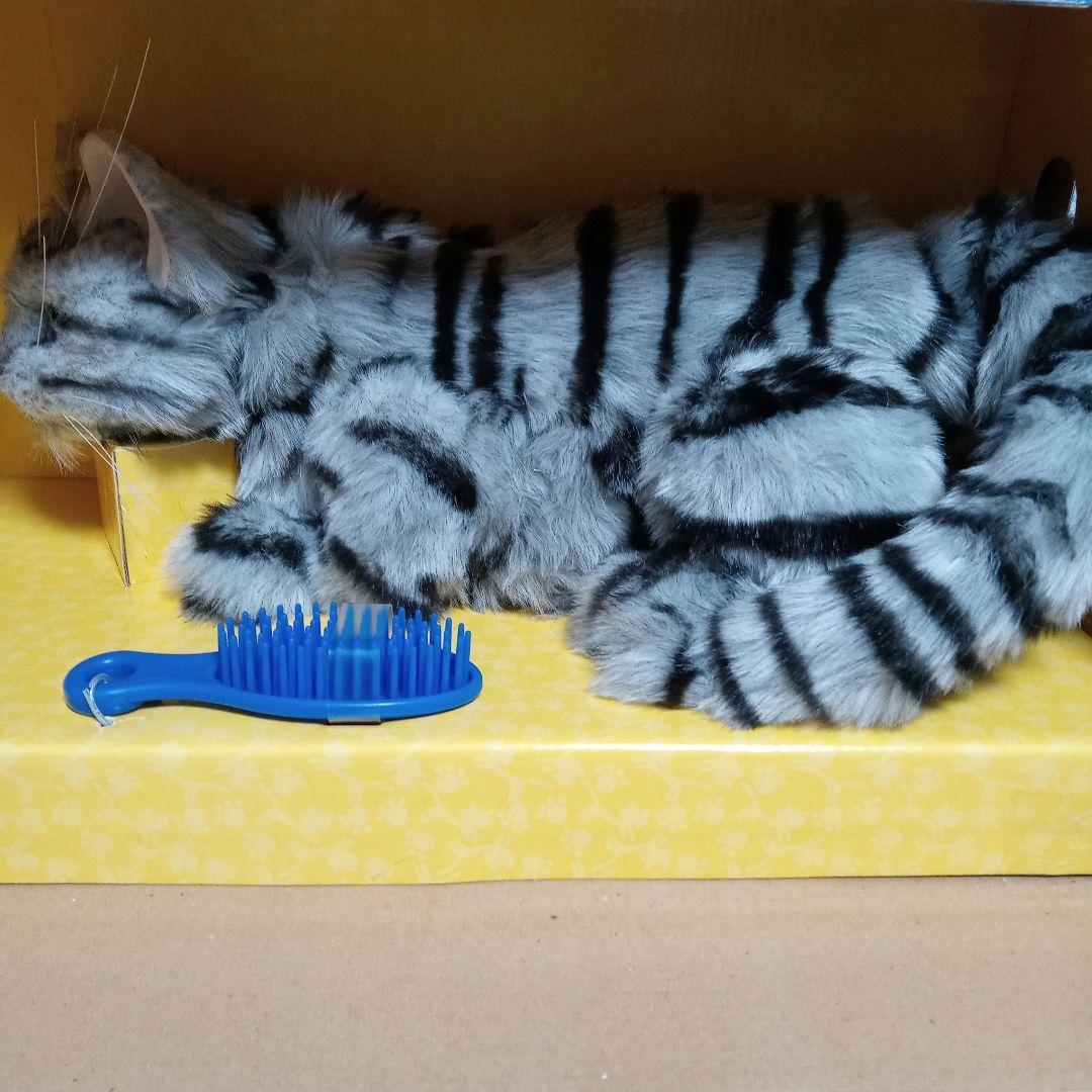 夢ねこ♡アメリカンショートヘア♡あなたのパートナー！　【新品未開封】