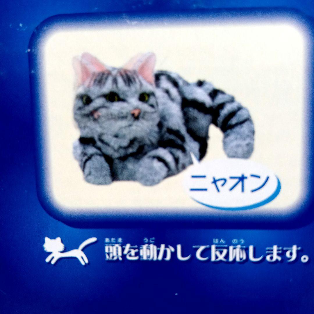 夢ねこ♡アメリカンショートヘア♡あなたのパートナー！　【新品未開封】