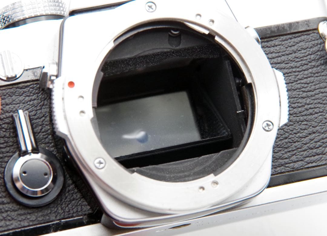 オリンパス OM-1 / OM-SYSTEM G.zuiko 50mm F1.4