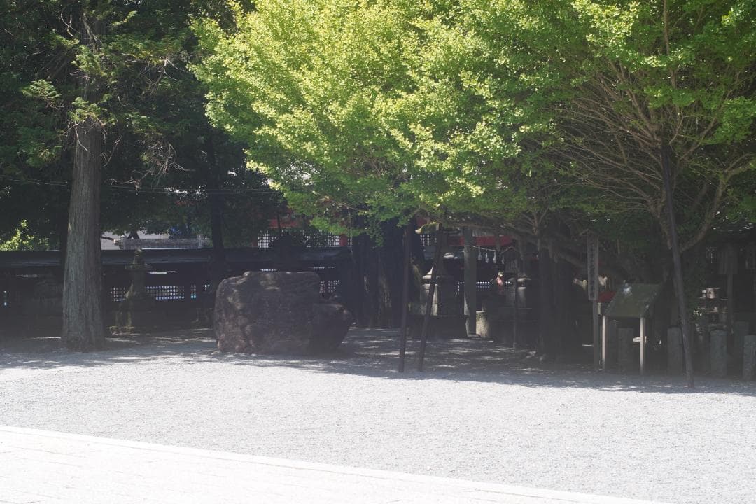 オリンパス OM-1 / OM-SYSTEM G.zuiko 50mm F1.4