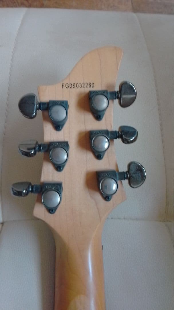 FERNANDES RAVELLE ソフトケース付き