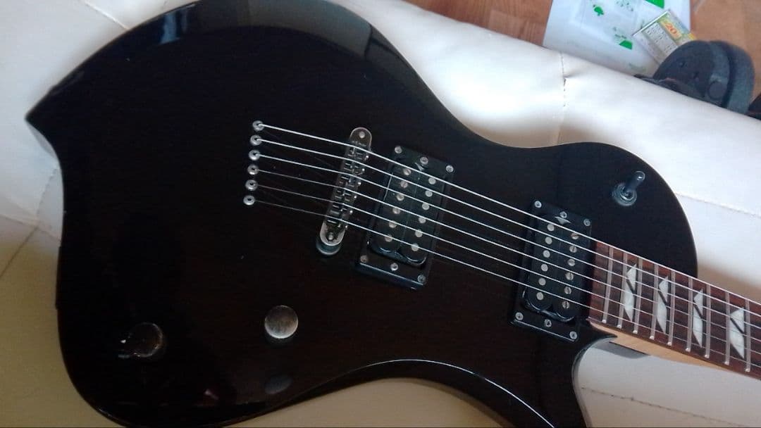 FERNANDES RAVELLE ソフトケース付き