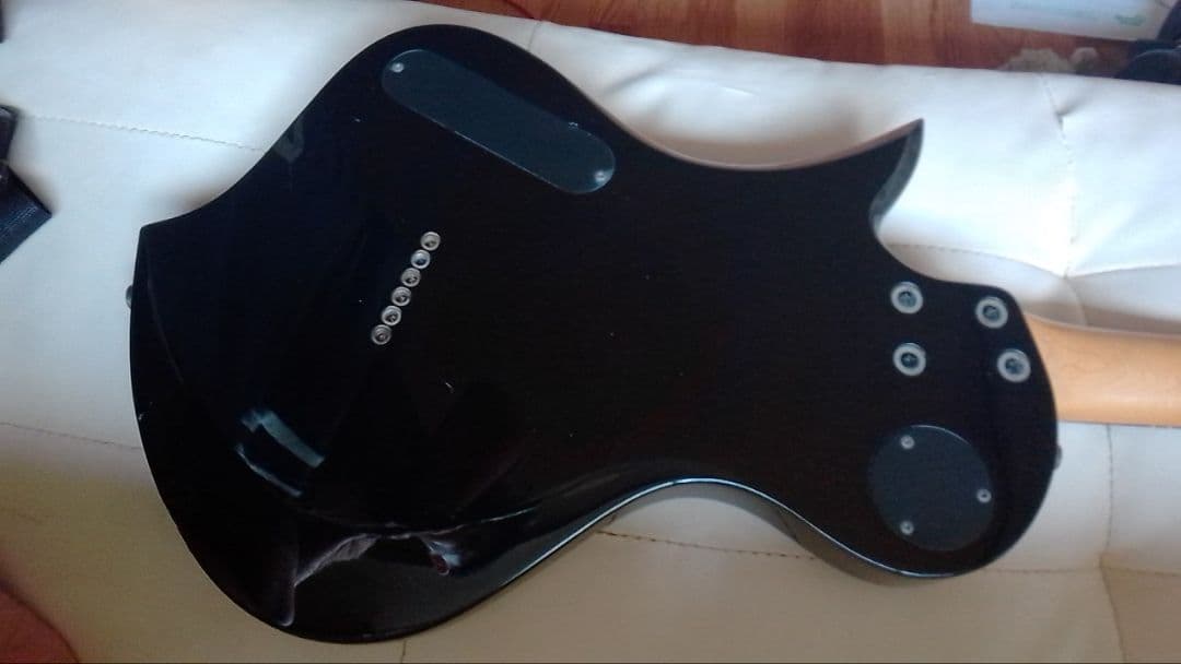 FERNANDES RAVELLE ソフトケース付き