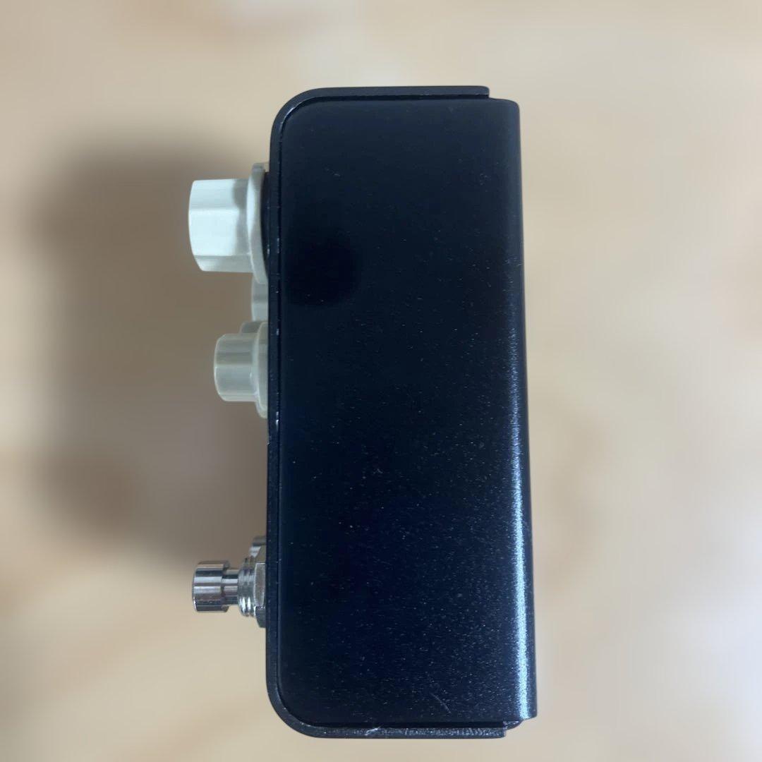 Strymon FLINT トレモロ & リバーブ