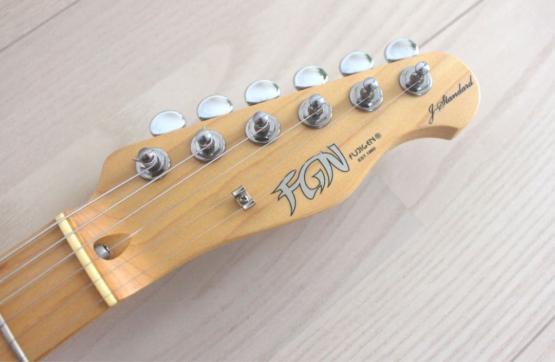 Fujigen FGNテレキャスター JTL-5M 日本製 J-Standard