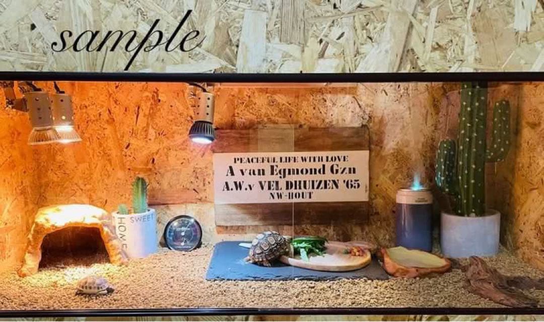 ときち　爬虫類ケージ　フトアゴ　ハリネズミ フルオプション　送料込み