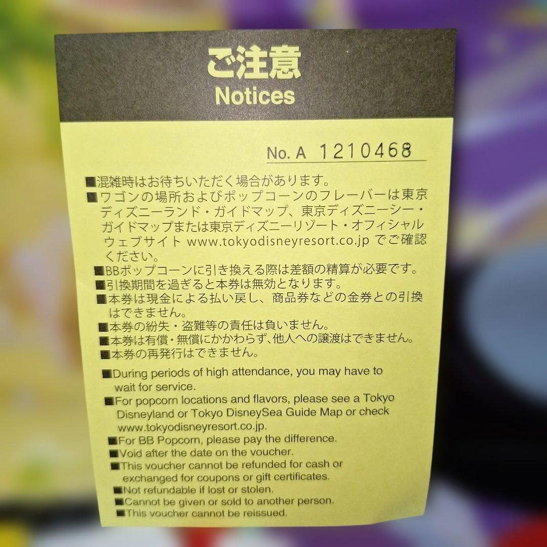 【新品】ミニーのファンダーランド　パルパルーザ　ポップコーンバケット　引換券付