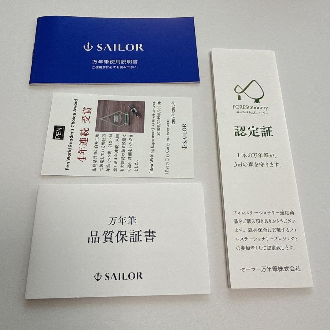 セーラー万年筆 プロフェッショナルギア 銀 万年筆 細字（専用コンバーター付）