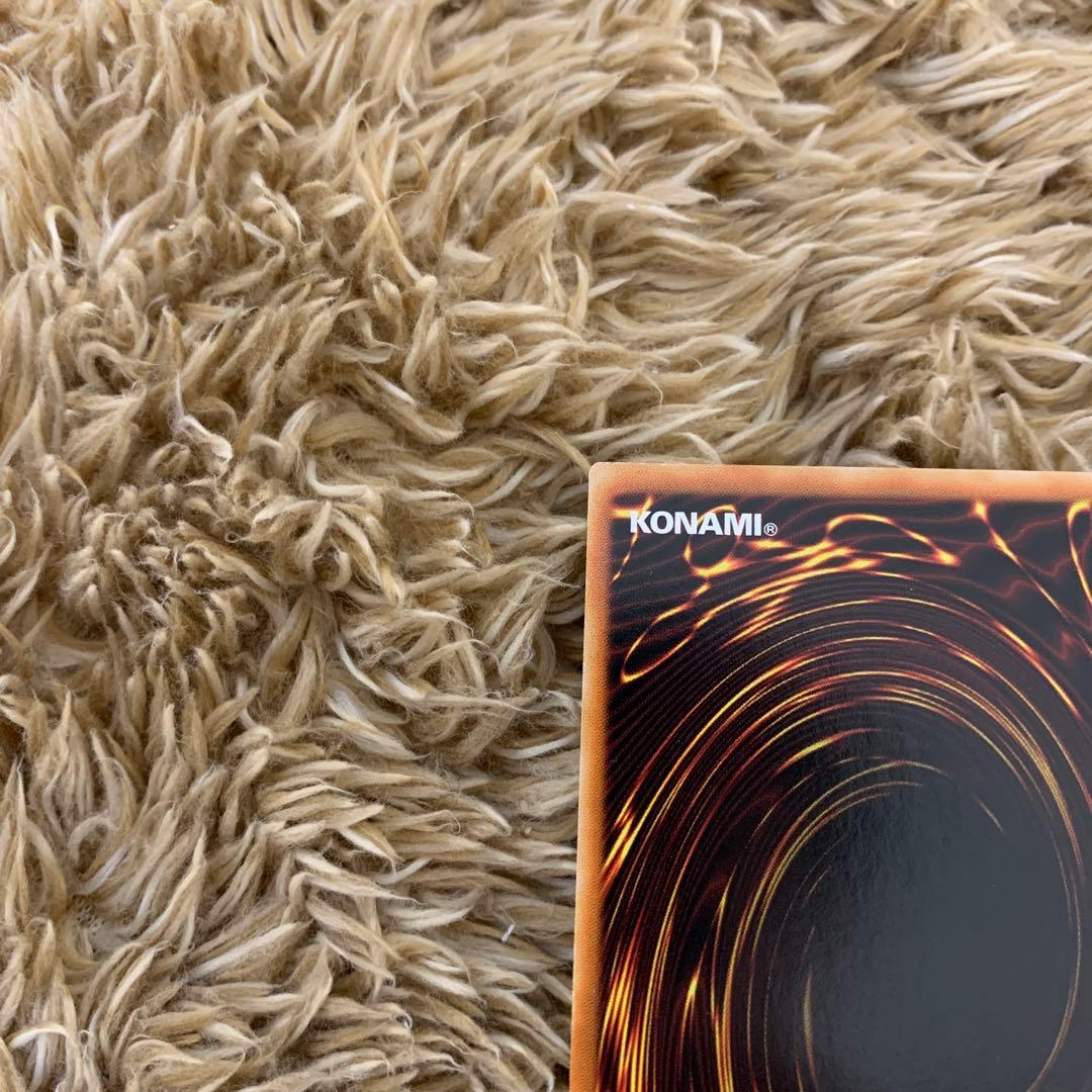 万物創世龍　アジア