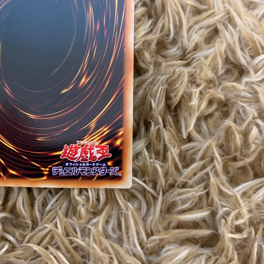 万物創世龍　アジア