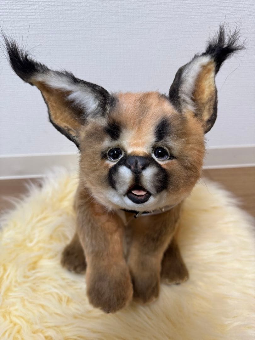 海外作家様作　アートドール　カラカル