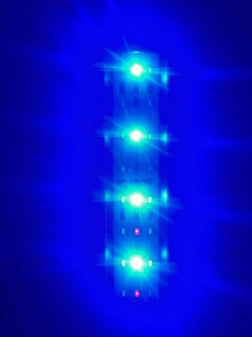 水槽 海水飼育セット　600×200×300 ライブロック付き