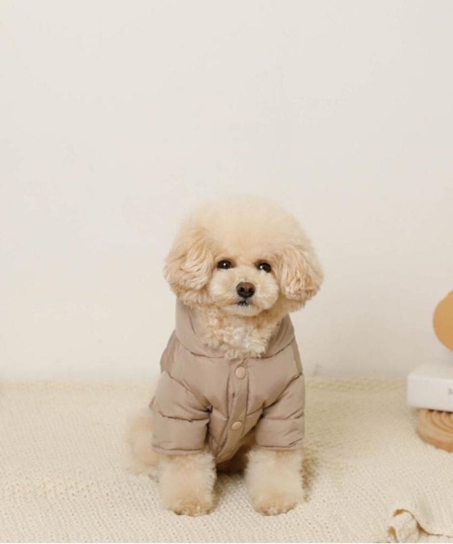 moncheri ポケット付きフードダウンジャケット 犬服 ドッグウェア XL