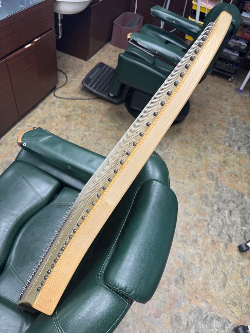 即演奏可能　ヘルマンハープ　ローレライダイヤモンド　Lタイプ　フルセット