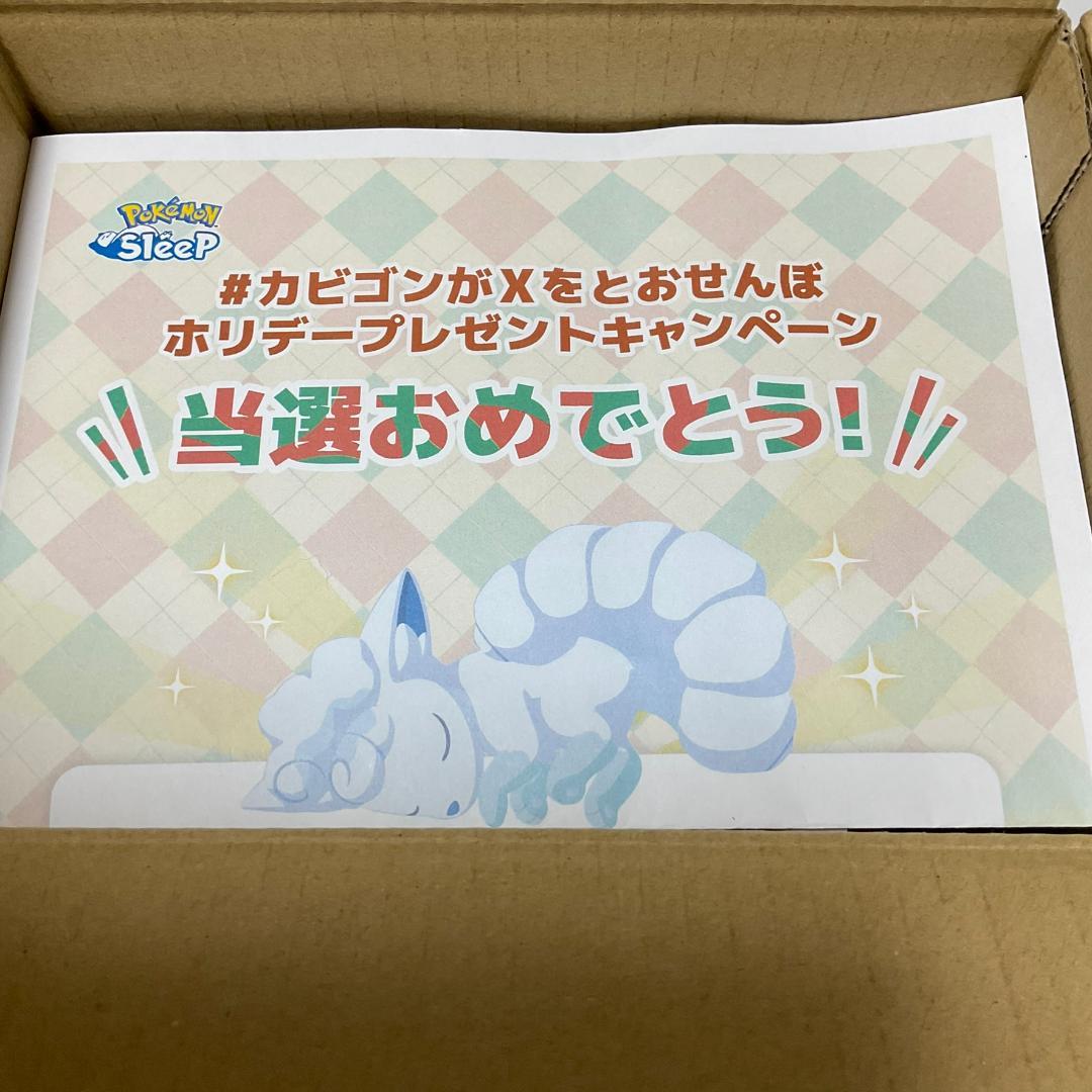 ま*ま様 Pokémon Sleep ポケモンスリープ　スノードーム