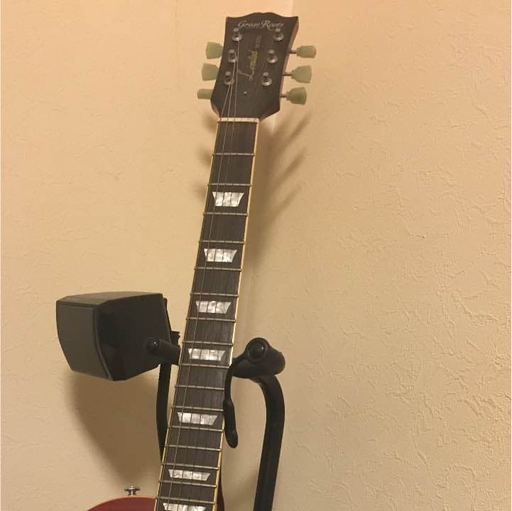 Grassroots のエレキギター