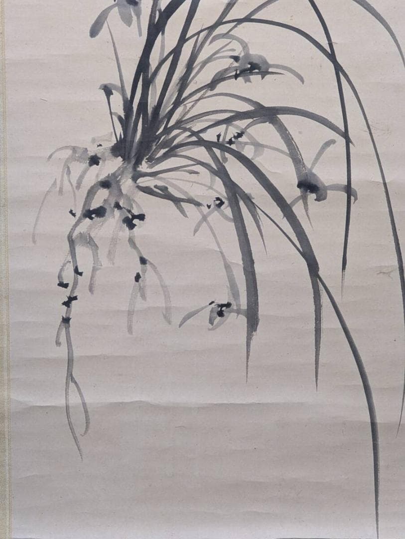 【真作】掛軸　墨蘭図　気品ある蘭の水墨画　静謐な気韻　高潔を描いた蘭図　T15