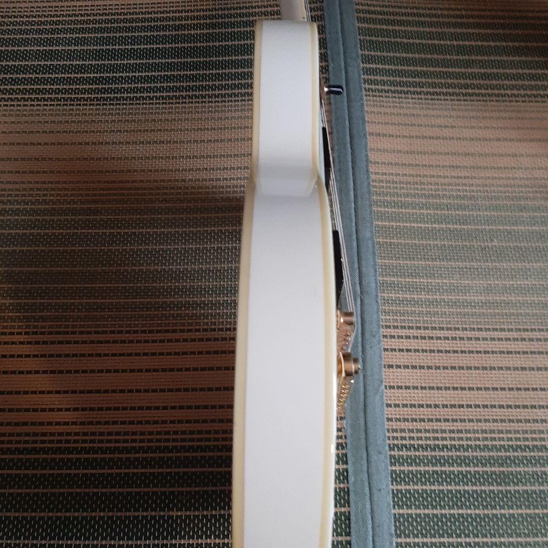 grassroots レスポール 弦新品張り替え済み ソフトケース付き