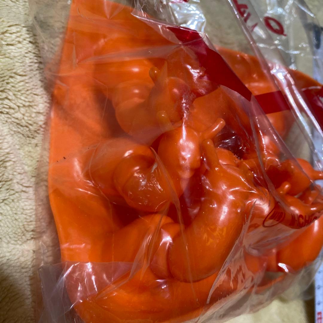 ウルトラQ ゴーガ フィギュアセットラベル付き