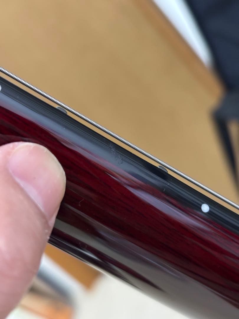 Schecter HELLRAISER AD-C-1-FR-HR BCH美品