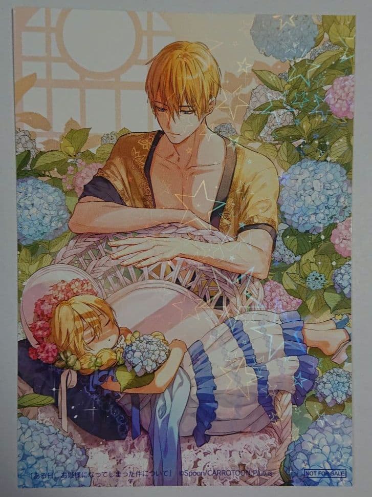 ある日、お姫様になってしまった件に件について 特典 まとめ売り 非売品 希少