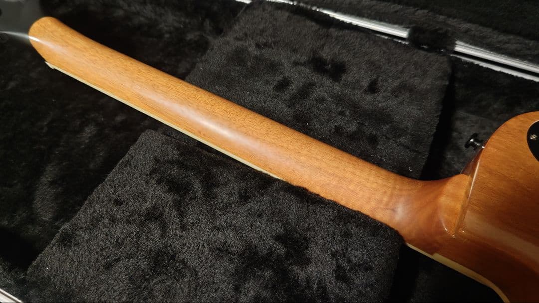 レスポールタイプ　エレキギター フルイドアート