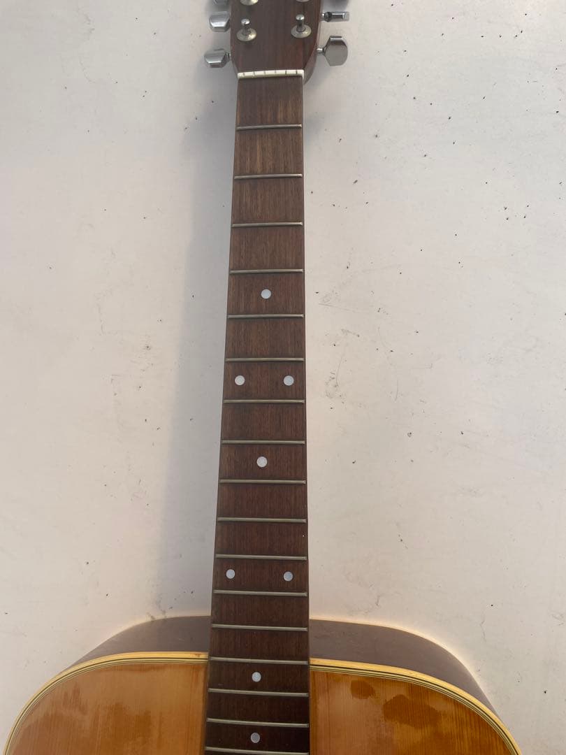 Morris W-20ギター