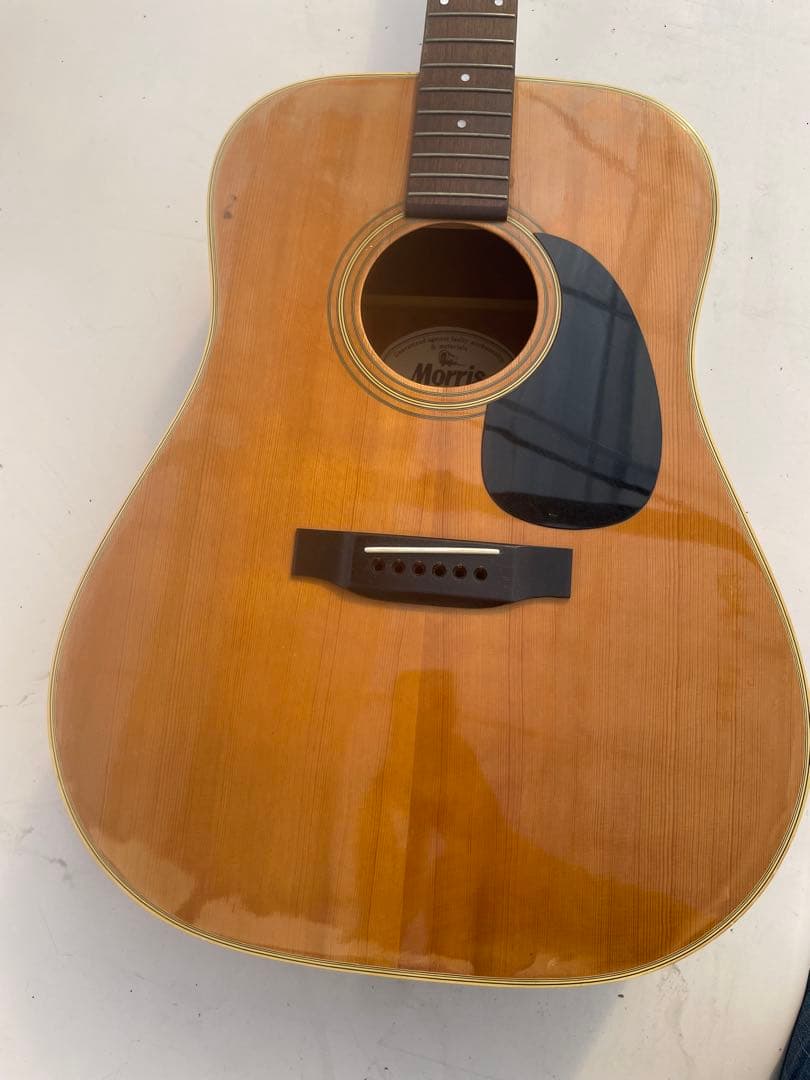 Morris W-20ギター