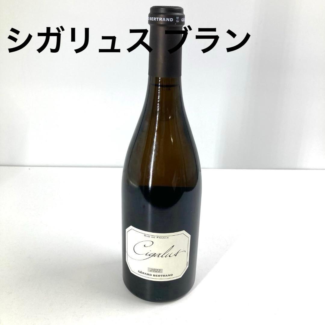 未開栓　シガリュス ブラン 2022　ワイン　750ml