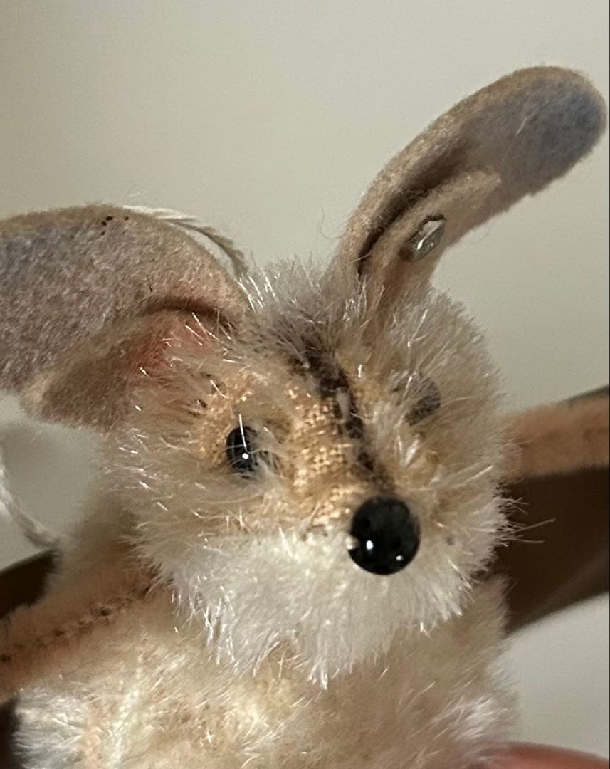 【激レア】シュタイフ☆コウモリ☆