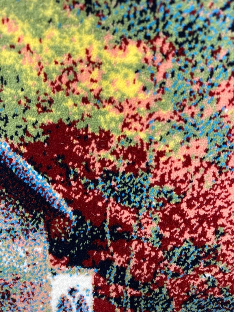 225万ノット！ピクチャーカーペット 額縁付き！50×70cm-190301