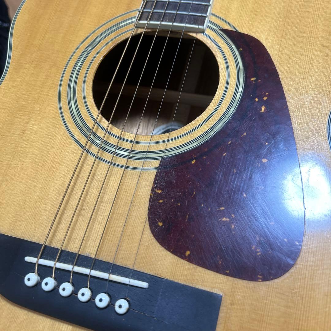 Morris MF-301 アコースティックギター