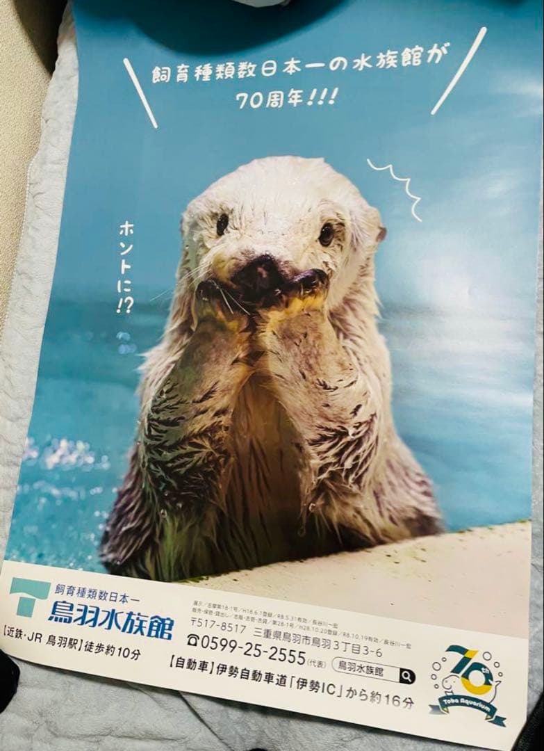 鳥羽水族館⭐️70周年⭐️ポスター⭐️ラッコ