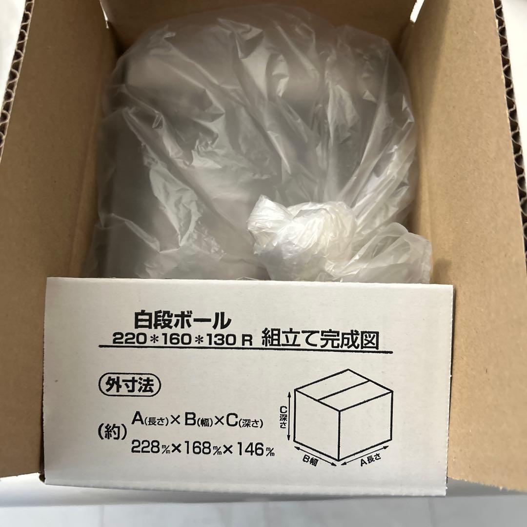 N*o様 本日3時間オークション出品／SKULLPANDA XG スカルパンダ