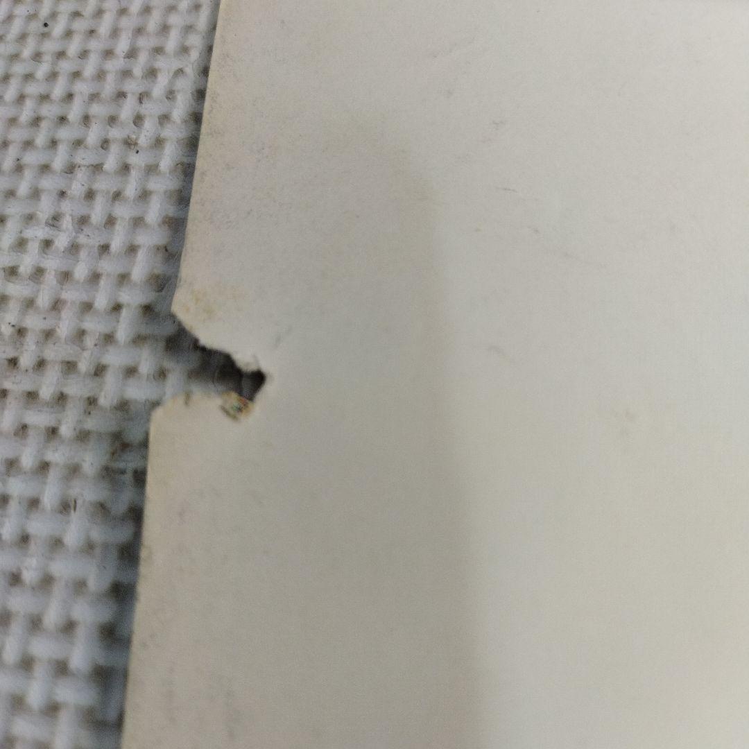 資生堂 　セリア・キャロン　特大ポスター この夏　その気