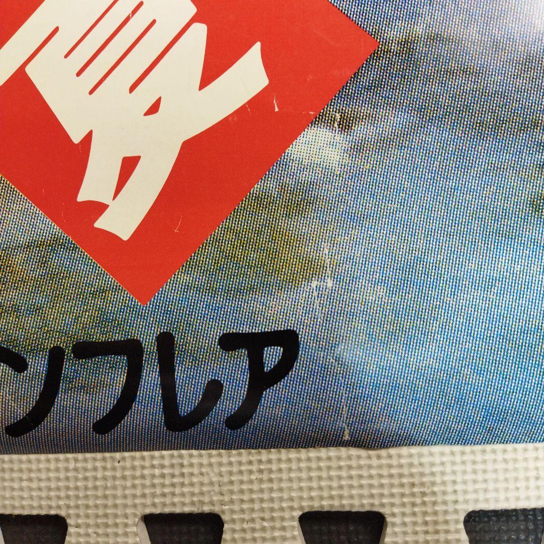 資生堂 　セリア・キャロン　特大ポスター この夏　その気