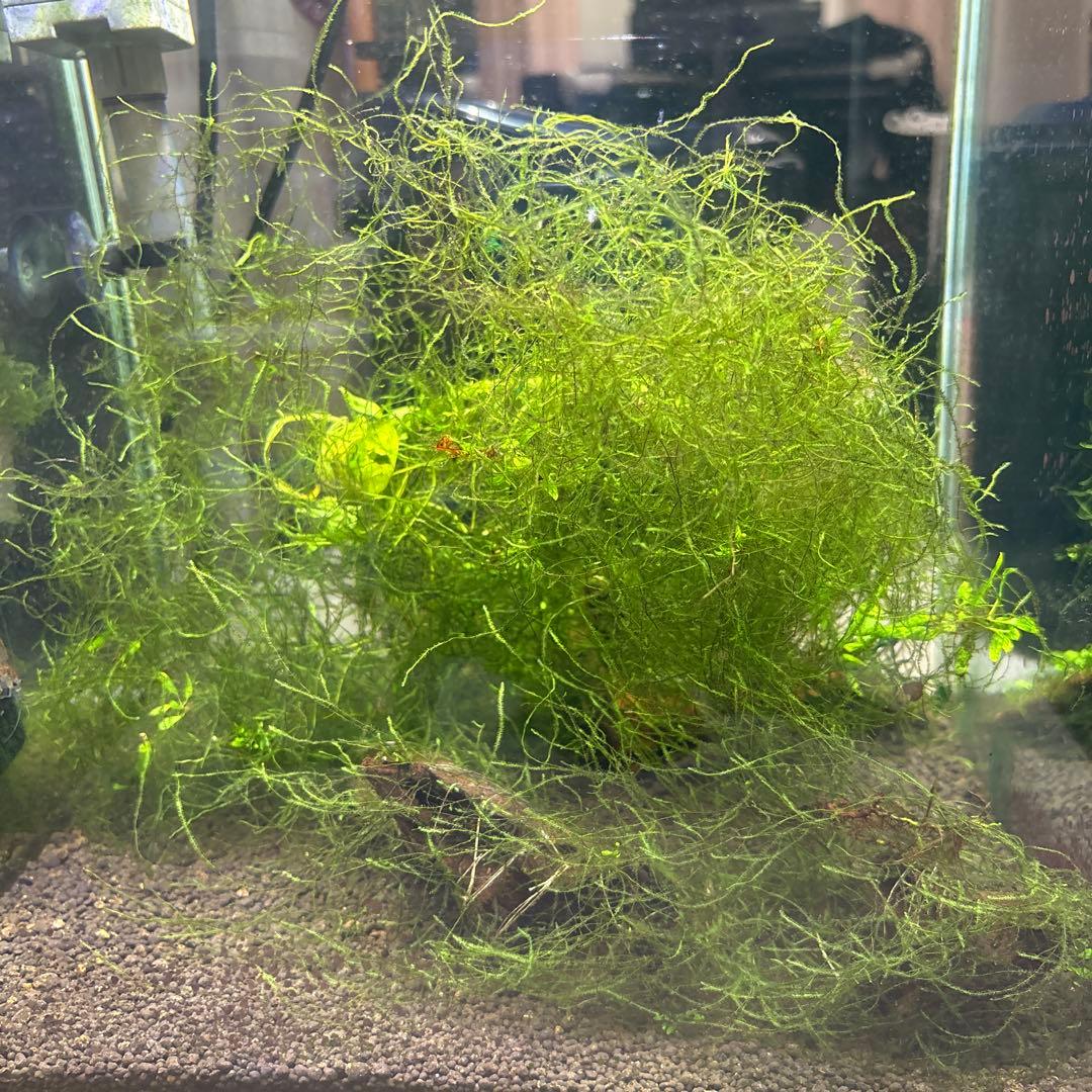 水槽フルセット　引き取り限定