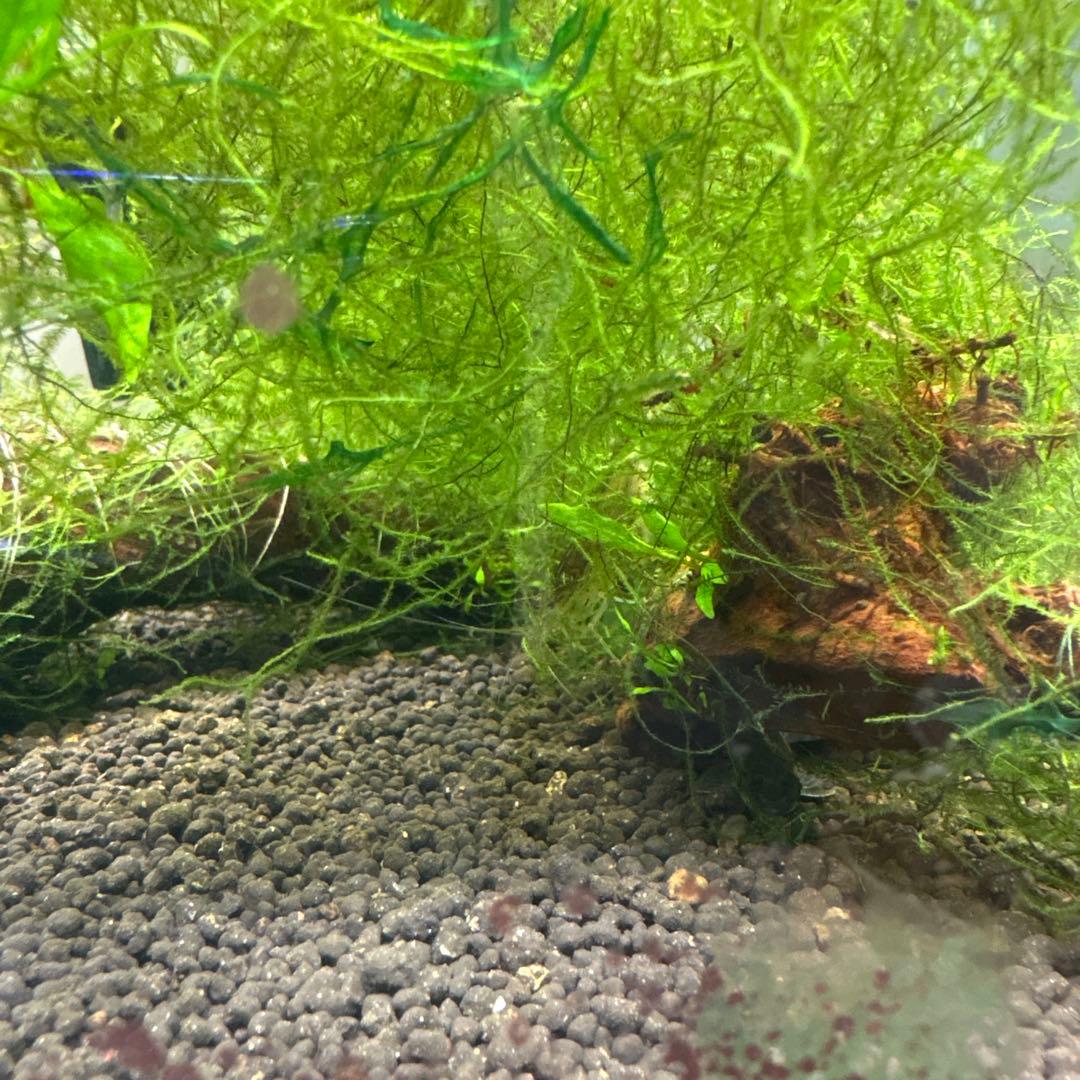 水槽フルセット　引き取り限定