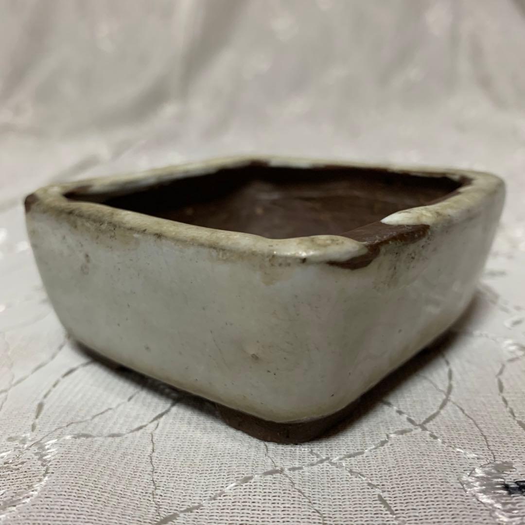 雀子　正方　盆栽鉢