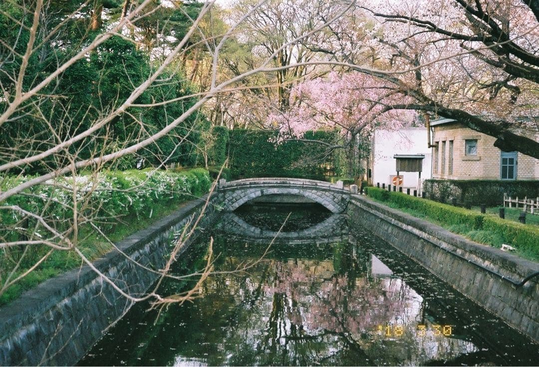 FUJIFILM 富士フィルム Tiara Zoom フィルムカメラ